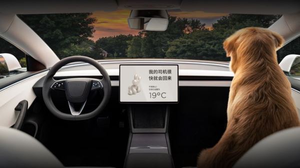 Tesla вернула своей самой дешевой модели полезную опцию