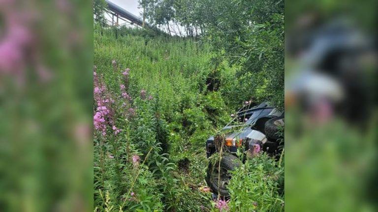 На Камчатке трое подростков угнали автомобиль и устроили ДТП