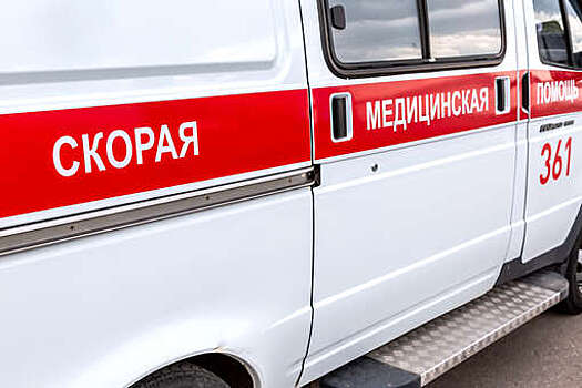В Новгородской области два человека не выжили в ДТП с велосипедистами